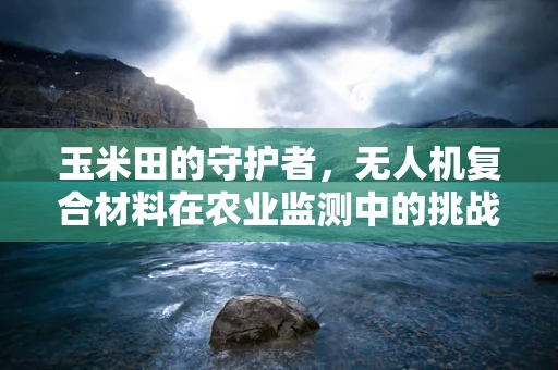 玉米田的守护者，无人机复合材料在农业监测中的挑战与机遇