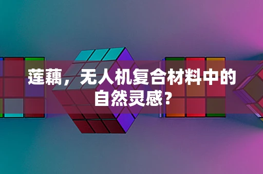 莲藕，无人机复合材料中的自然灵感？