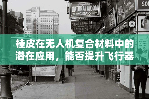 桂皮在无人机复合材料中的潜在应用，能否提升飞行器的耐热与防腐性能？